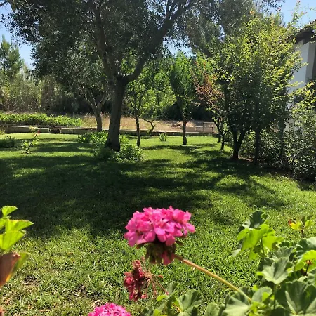 Ferienhaus Casa Gigi *